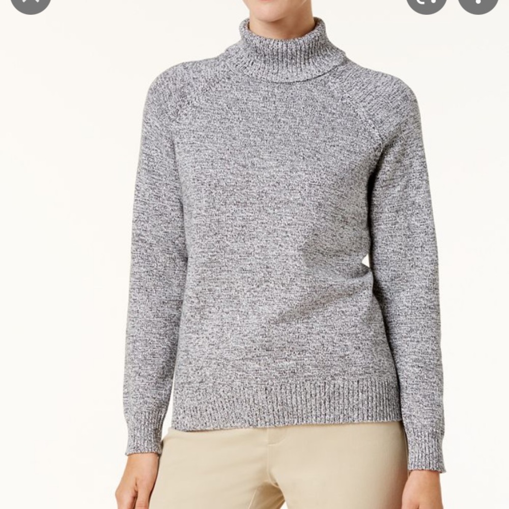 Karen Scott Turtleneck Sweater